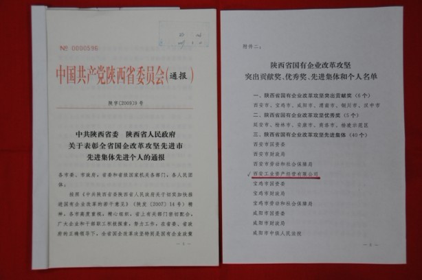 2009年2月，被陜西省委、省政府授予陜西省國有企業(yè)改革攻堅先進集體